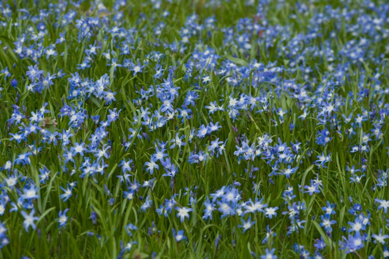 
Camera make: PENTAX Corporation
Camera model: PENTAX K10D
Exposure time: 1/60s
Aperture: 6.3
ISO: 100
Metering mode: Evaluative
Focal length: 77.0mm